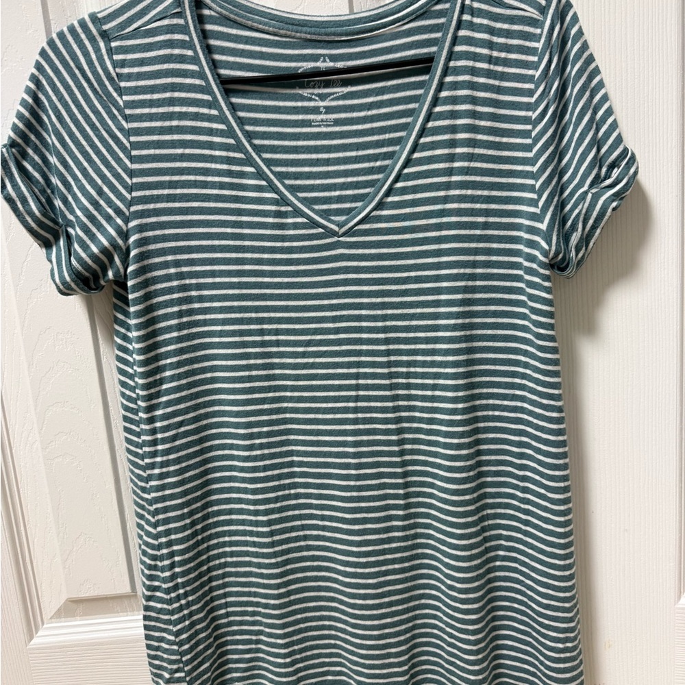 Pink Rose Green and White Striped Top